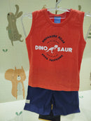 Conjunto Dino Explorer